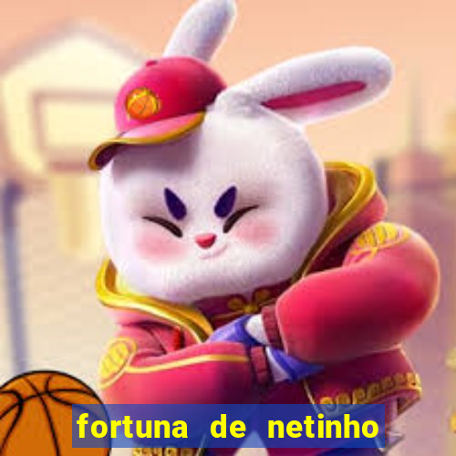 fortuna de netinho de paula